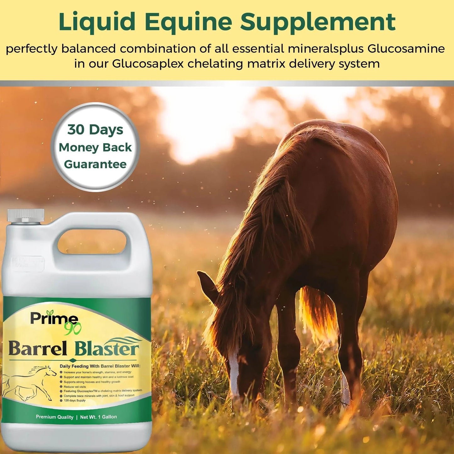 Barrel Blaster: Elite Liquid Supplement for Barrel Racing Horses (one gallon) – Enhanced Performance & Recovery Prime 90