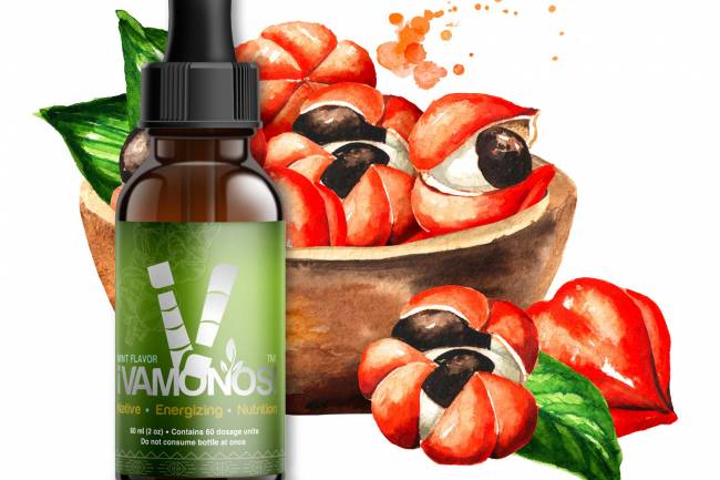 2 oz Vamonos sublingual energy nano-shots -- Mint Echelon Nutrition