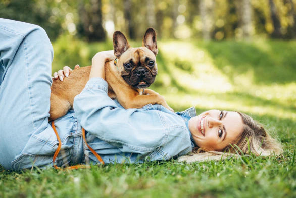 Prime 90 -- Pet nutrition