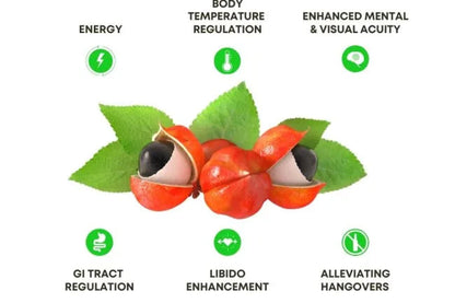 Vamonos Energy drink mix -- single stick (Copy) Echelon Nutrition