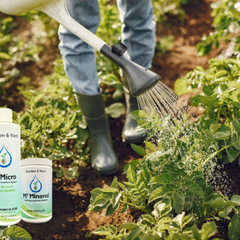 M2 Garden System -- Complete Soil Catalyst Kit The Health Store
