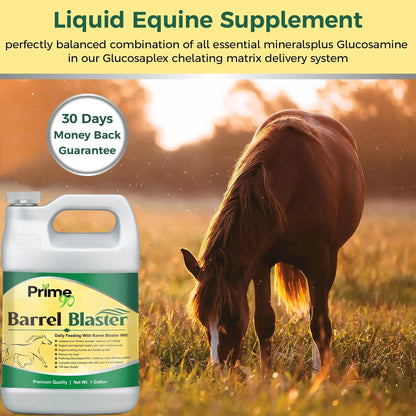 Barrel Blaster: Elite Liquid Supplement for Barrel Racing Horses (one gallon) – Enhanced Performance & Recovery Prime 90
