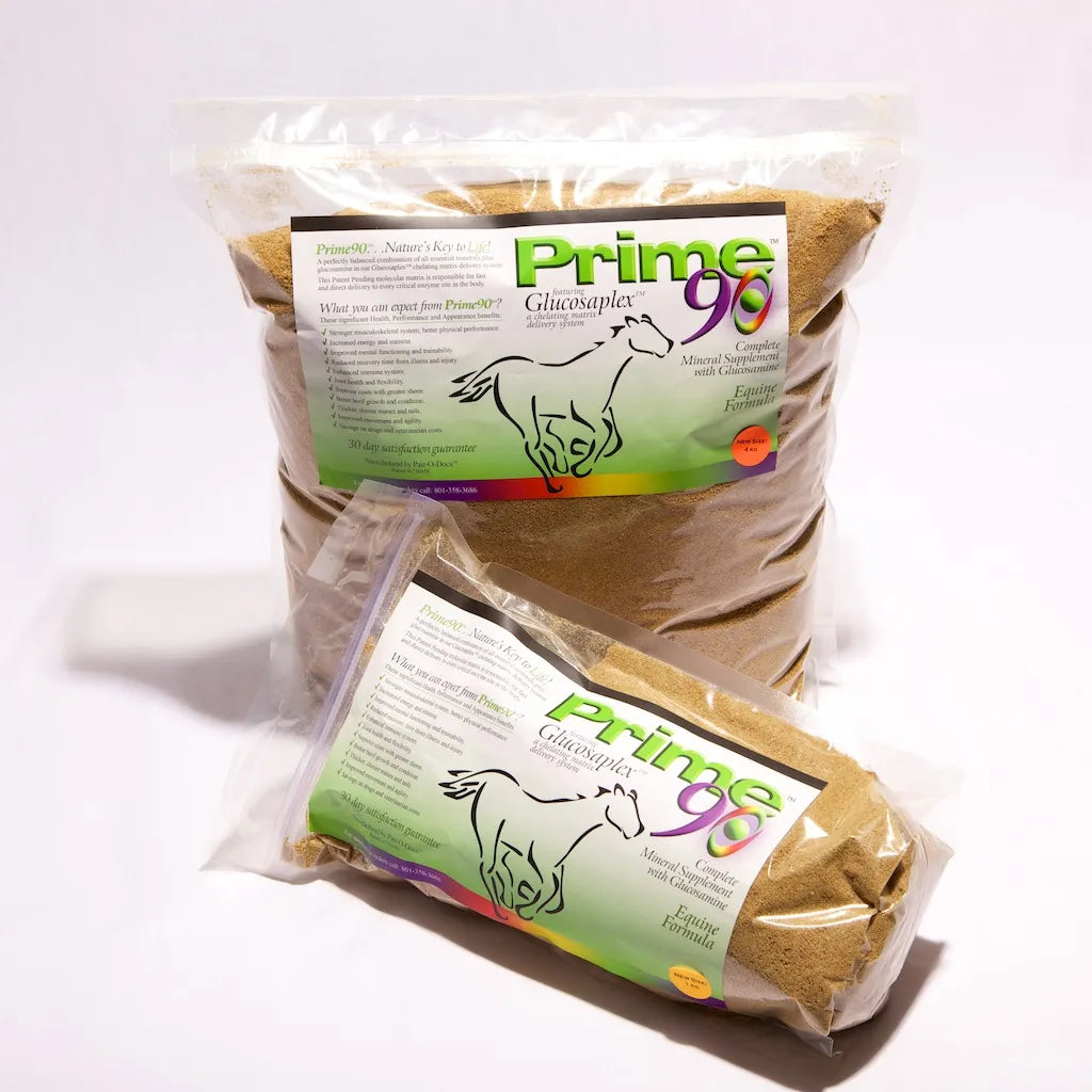 Dry Horse Essential Mineral & Glucosamine Supplement – Superior Musculoskeletal Strength, Enhanced Energy & Coat Luster for Horses Prime 90