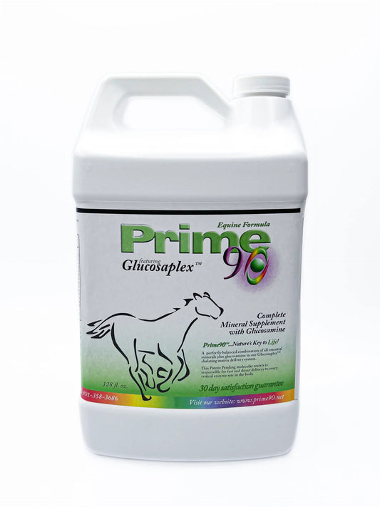 Equine vitality boost: Comprehensive Liquid Mineral & Glucosamine Supplement for Horses (1 gallon) Prime 90